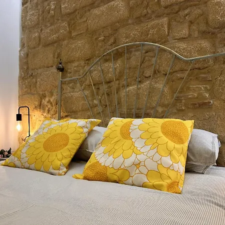 Santa Clara - Ole Solutions