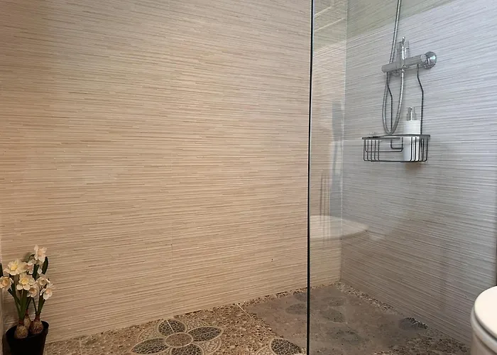 Santa Clara - Ole Solutions * Jerez de la Frontera